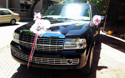 Lincoln Navigator 5.4 LS. V8  (08)