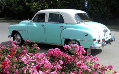1952 PLYMOUTH CAMBRIDGE