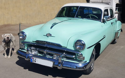 1952 PLYMOUTH CAMBRIDGE