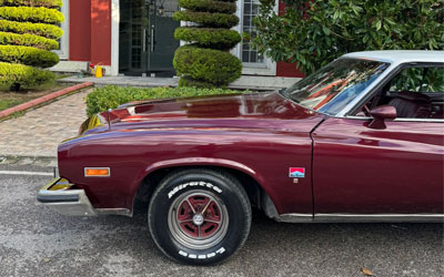 1974 Buick Regal