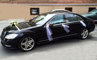 MERCEDES-BENZ S 350 CDI. BLUETECH (13)