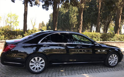 MERCEDES-BENZ S 350 cdi. BLUETECH  (16)