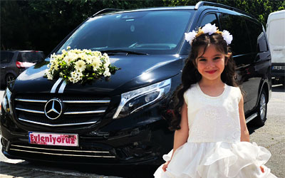 Mercedes-Benz Vito 114 cdi. vip van 8+1  (18)